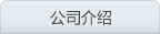 公司介绍